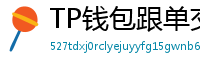 TP钱包跟单交易功能｜复制鲸鱼地址实时操作